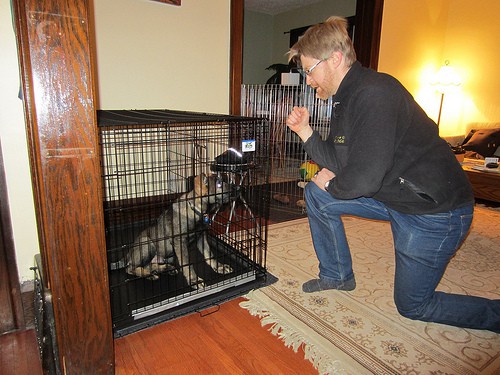 learning to crate - laura271GSD1 - Flickr