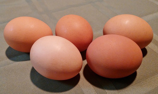 eggs 3
