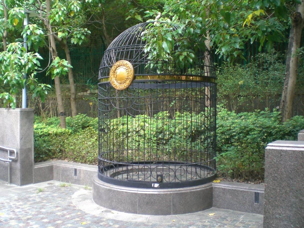 Garden bird best sale cages