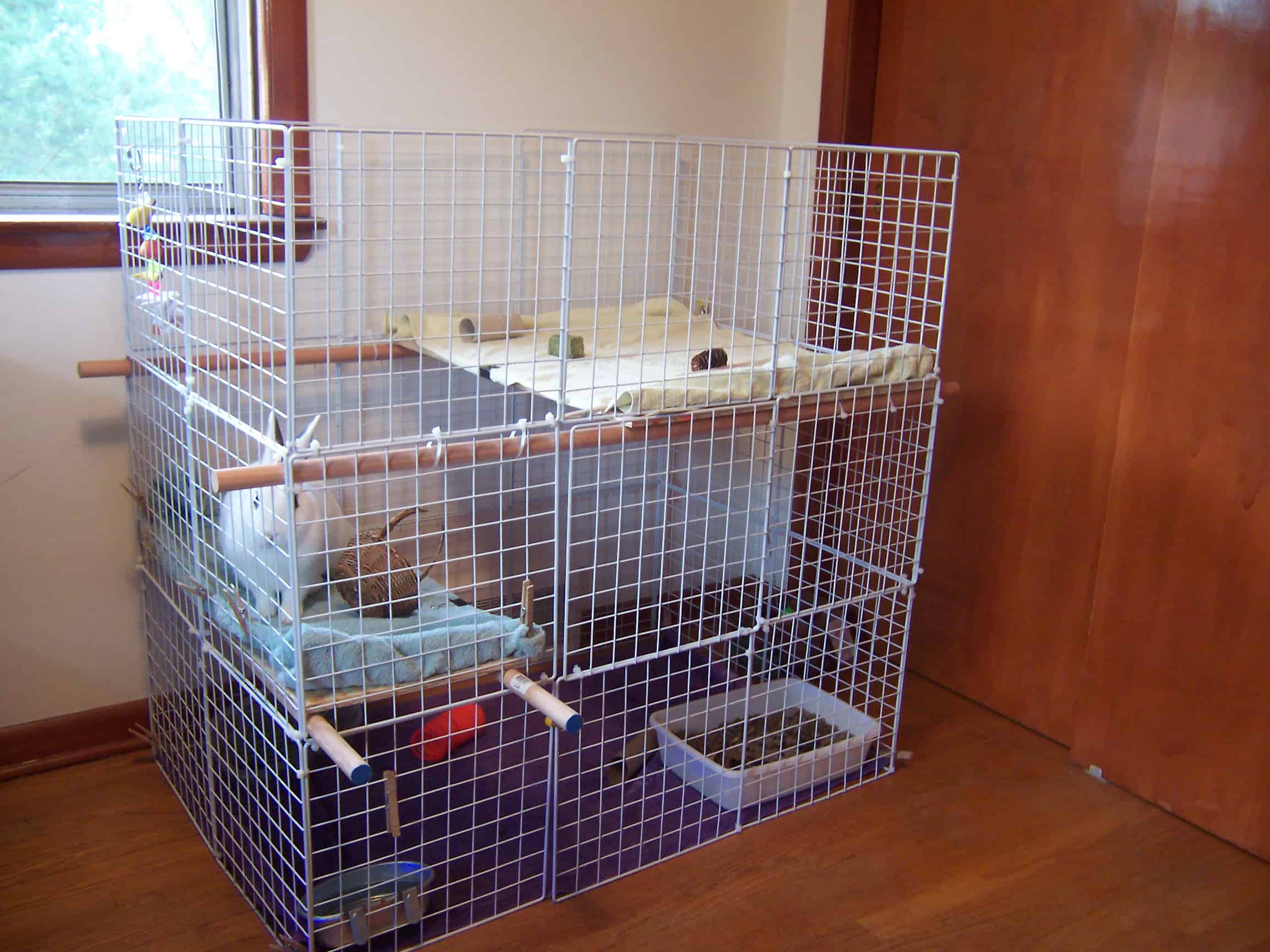 type of guinea pig cage_7
