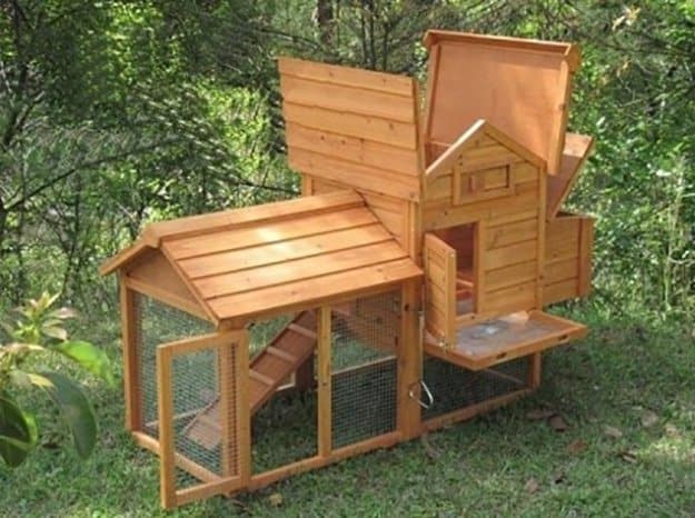 chicken coop design - 5