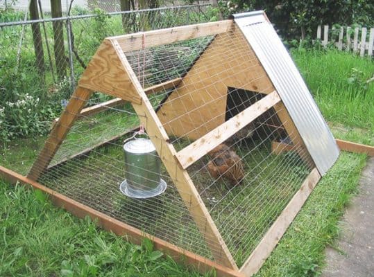 chicken coop design - 9