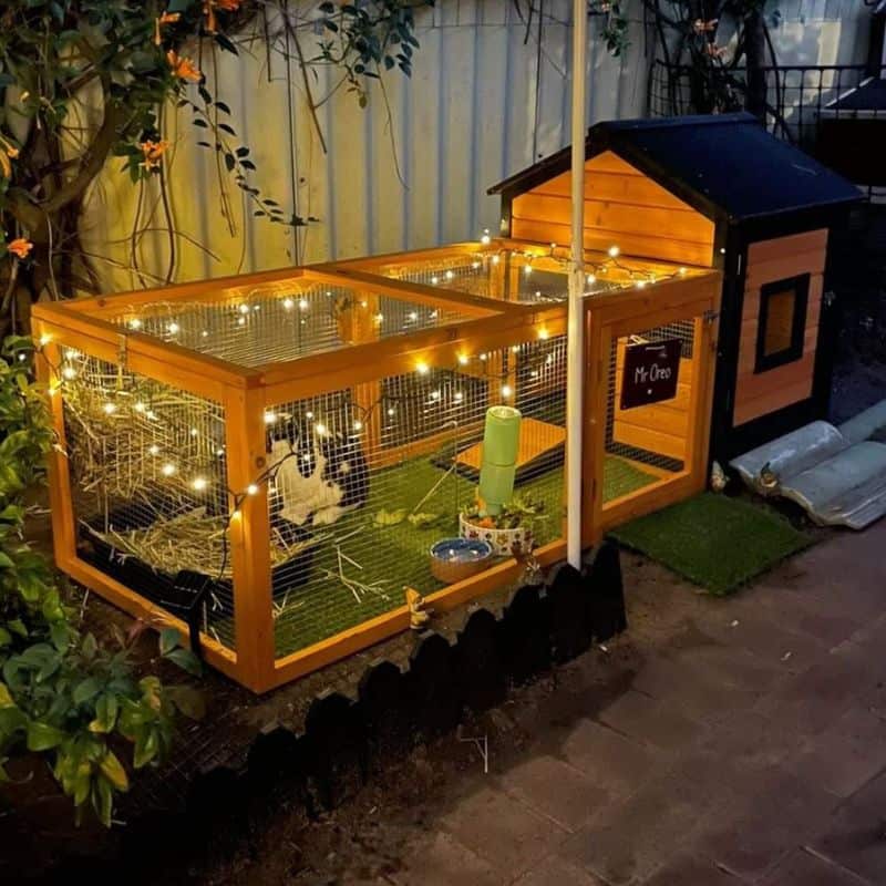 Comfortable rabbit home