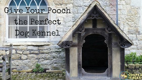Give_Your_Pooch_the_Perfect_Dog_Kennel