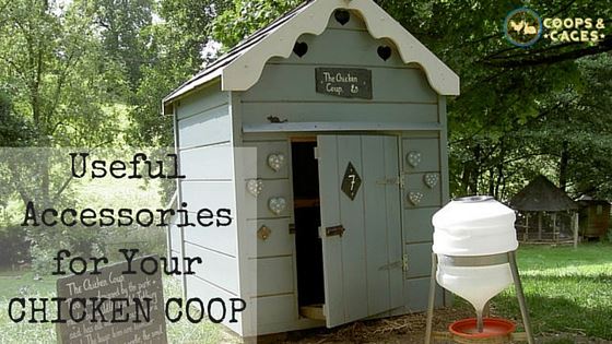 Useful_Accessories_for_Your_CHICKEN_COOP