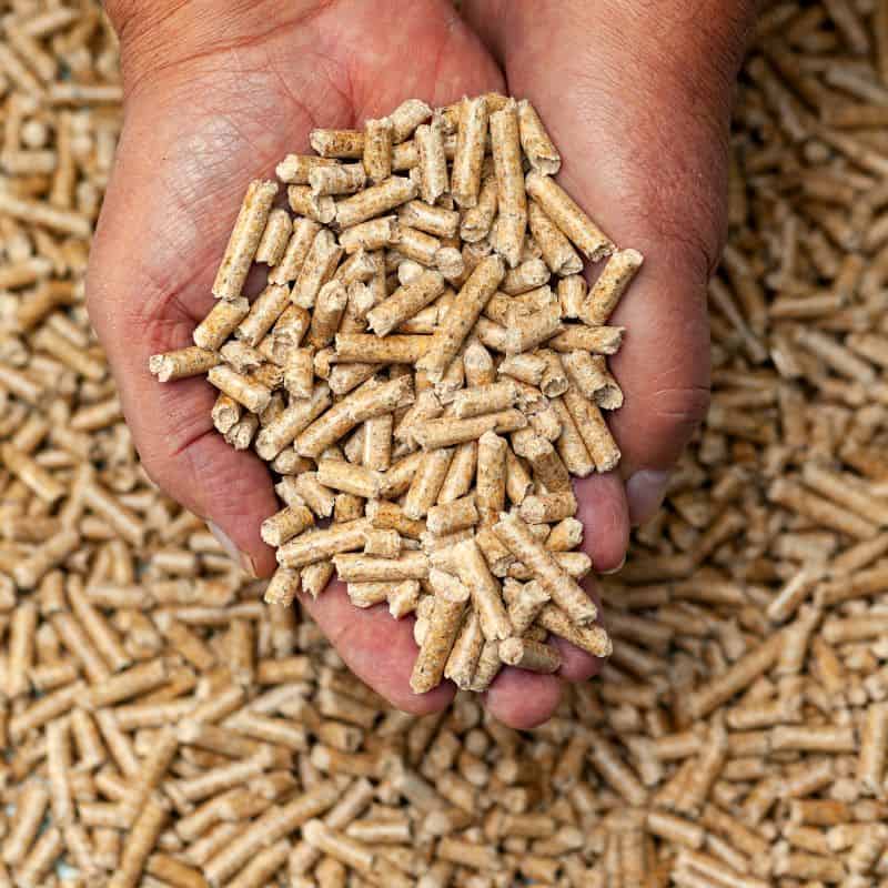 Chicken Feed Pellets