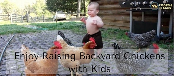 Enjoy Raising Backyard Chickens with Kids-min