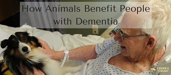 How Animals Benefit People with Dementia