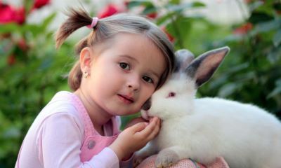 Common_Mistakes_Pet_Rabbit_Owners_Make_
