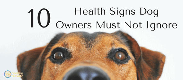 health signs dog