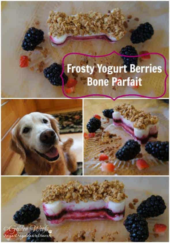 pet treats, Halloween