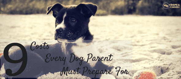 dog parents, dog parenting, dog ownership