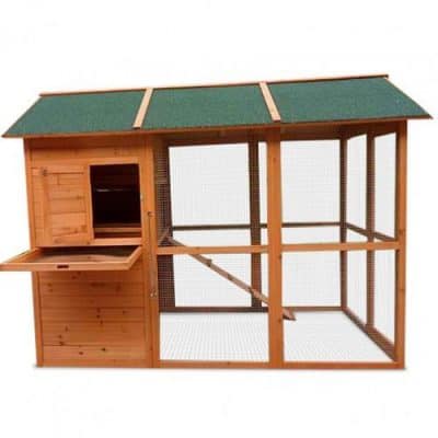 double-storey-chicken-coop-with-nest-box-features