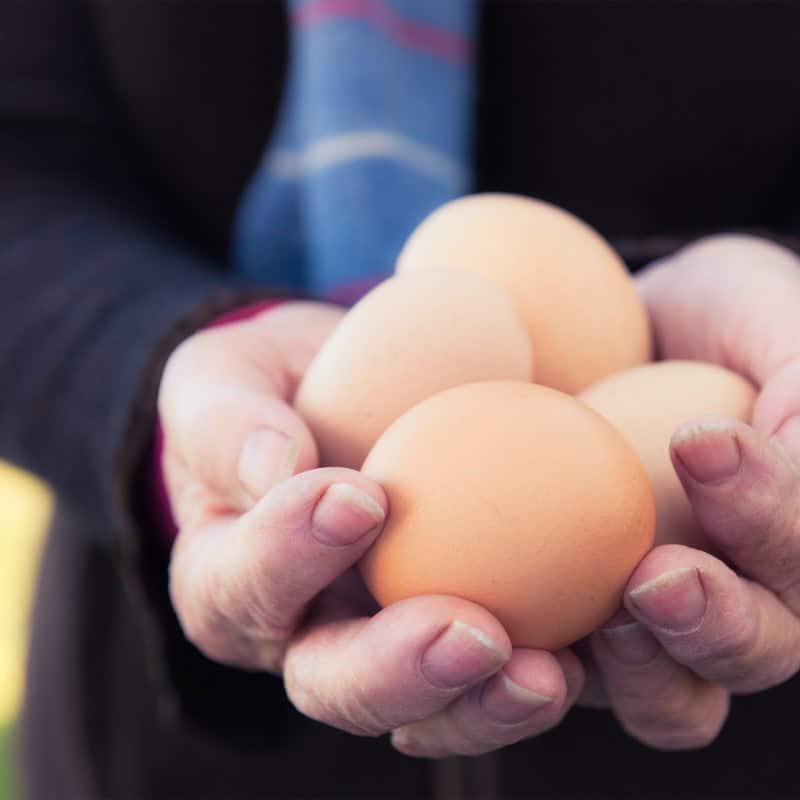 Hand holding 4 eggs