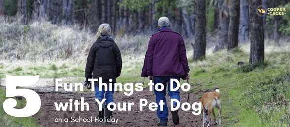pet dog, activities for dogs, dog care