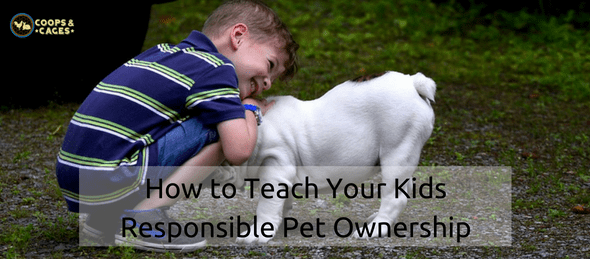 pet ownership, pet care, dog grooming, dog care