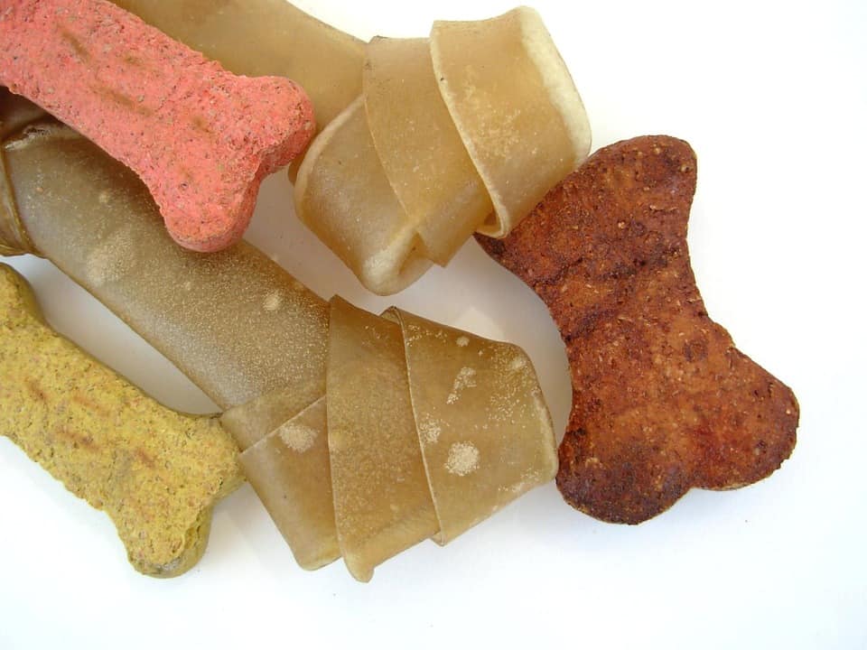 dog treats, puppy treats, dog food, dog care