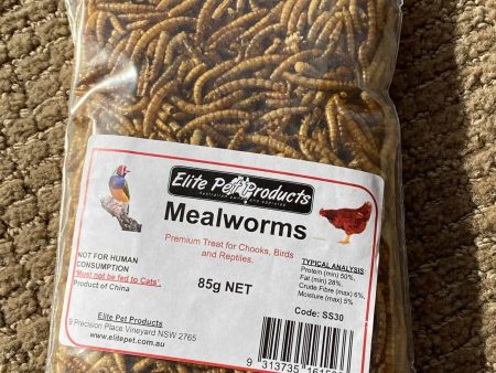 Free Mealworms