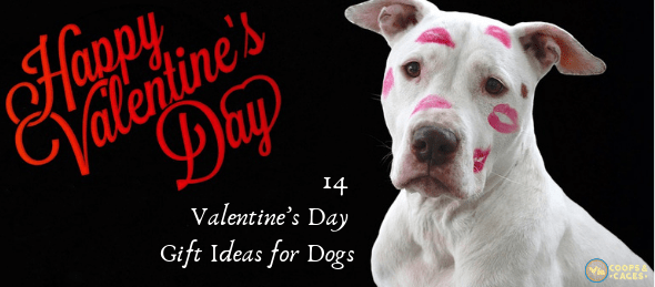 Valentine's Day gift ideas for dogs, dog beds, dog cage, dog crate