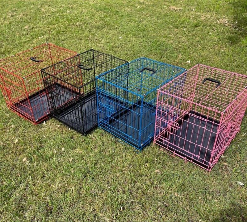 Small Collapsable Dog Crate 24"