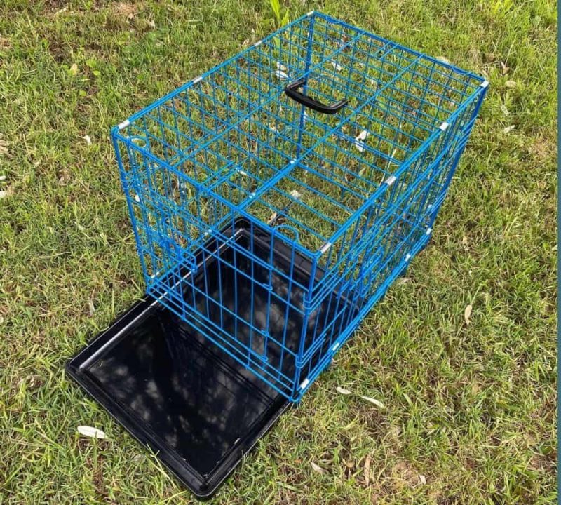 24 Inch Crate Blue Tray Out