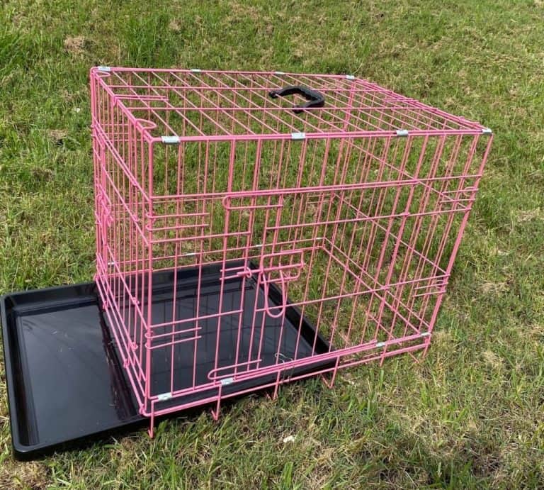 Small Collapsable Dog Crate 24"