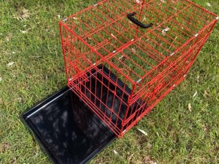 24 Inch Crate Red Tray Open