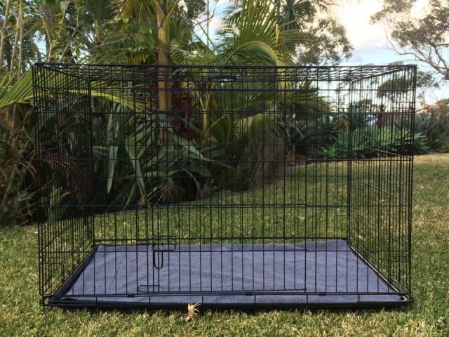 42' XL Coops and Cages Pet Crate