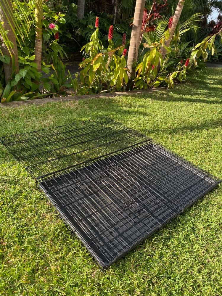 Extra, Extra Large Collapsable Dog Crate 48"