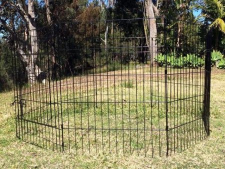 Collapsible Dog Playpen