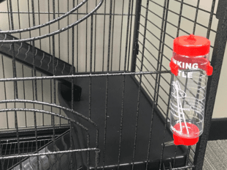 Cooper Cage Features Water Bottle and Pullout Cleaning Tray
