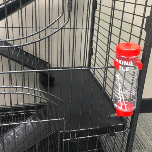 Cooper Cage Features Water Bottle and Pullout Cleaning Tray
