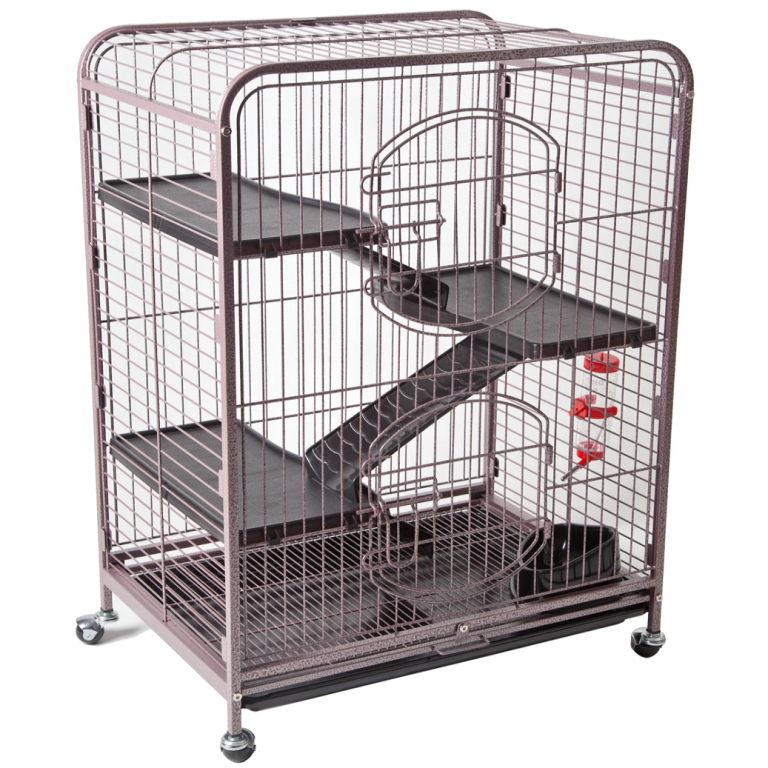 Guinea Pig Cages For Sale Online Australia Coops And Cages
