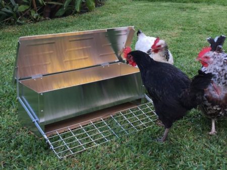 Easy Way to Feed your Choocks with the Chicken Treadle Feeder