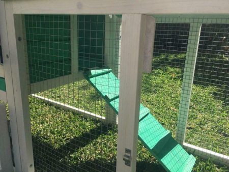 Galvanised Wire Mesh to Ensure your Pets Safety