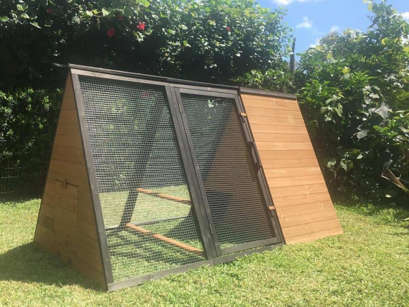 Guinea Pig Cages For Sale Online Australia Coops And Cages