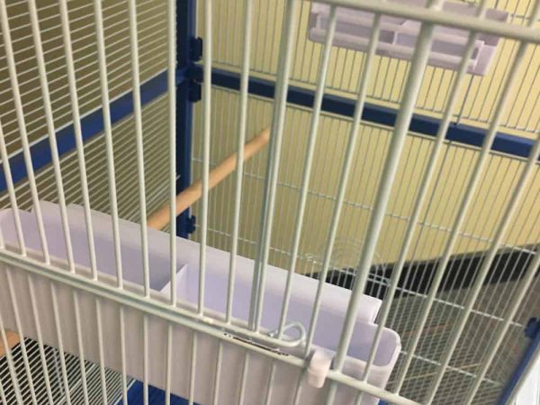Strong and Secure Metal Build for Security