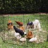The Arena Large Chicken Coop