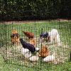 The Arena Large Chicken Coop