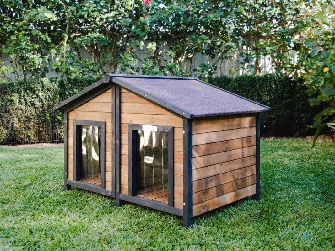 The Duplex - Coops and Cages