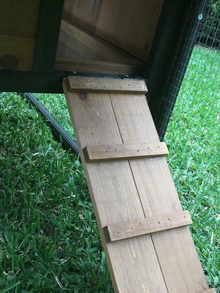 Wooden Ramp so your Pets can run around as much as they like!