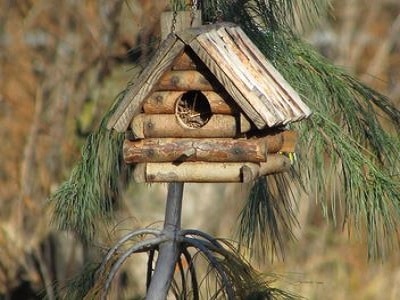 Bird Box - Melbourne