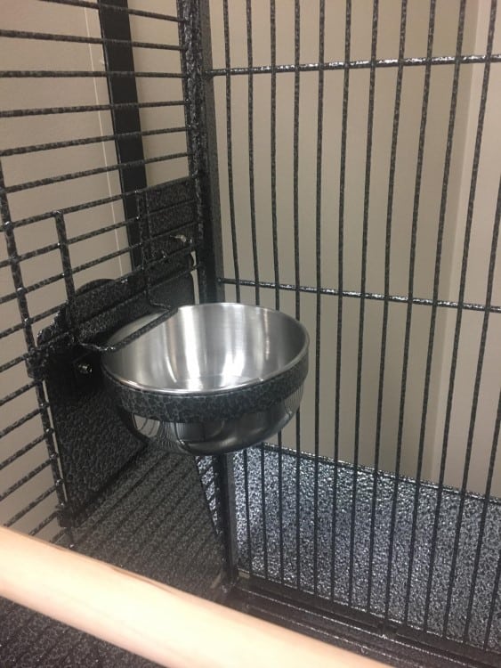 Bird Cage Sheldon features 2 stainless steel food bowls