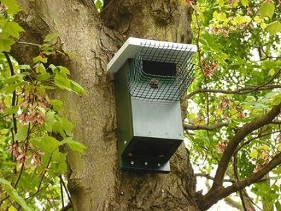 Bird Cages And Aviaries Online Melbourne - Coops And Cages