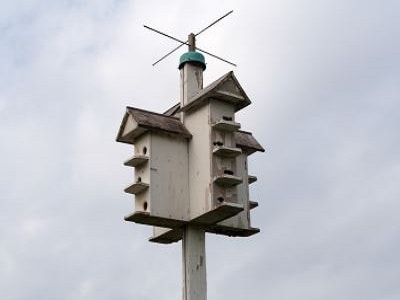 Bird Cages - Sydney