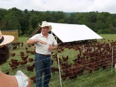 Chicken Housing - Brisbane