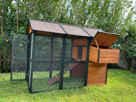 Connie Chicken Coop Door and nesting box lid open