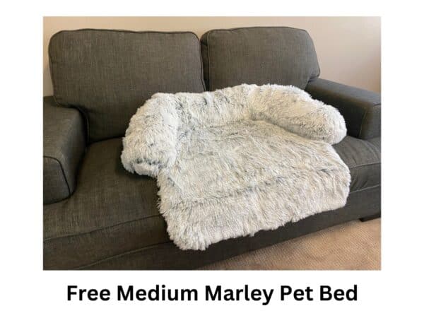 Free Medium Marley Pet Bed