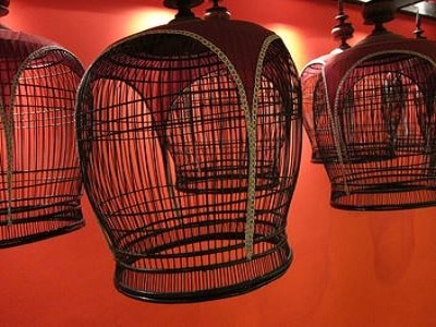 High Quality Bird Cages - Adelaide