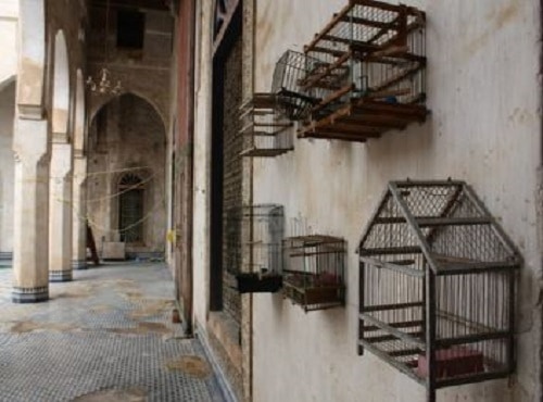 High Quality Bird Enclosures Australia